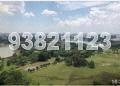 Ivory Heights (D22), Condominium #169105762